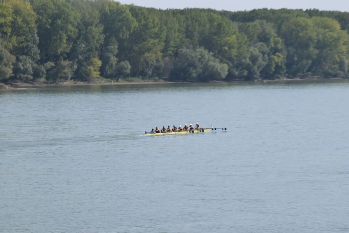 VUKOVARSKI VESLAČKI MARATON